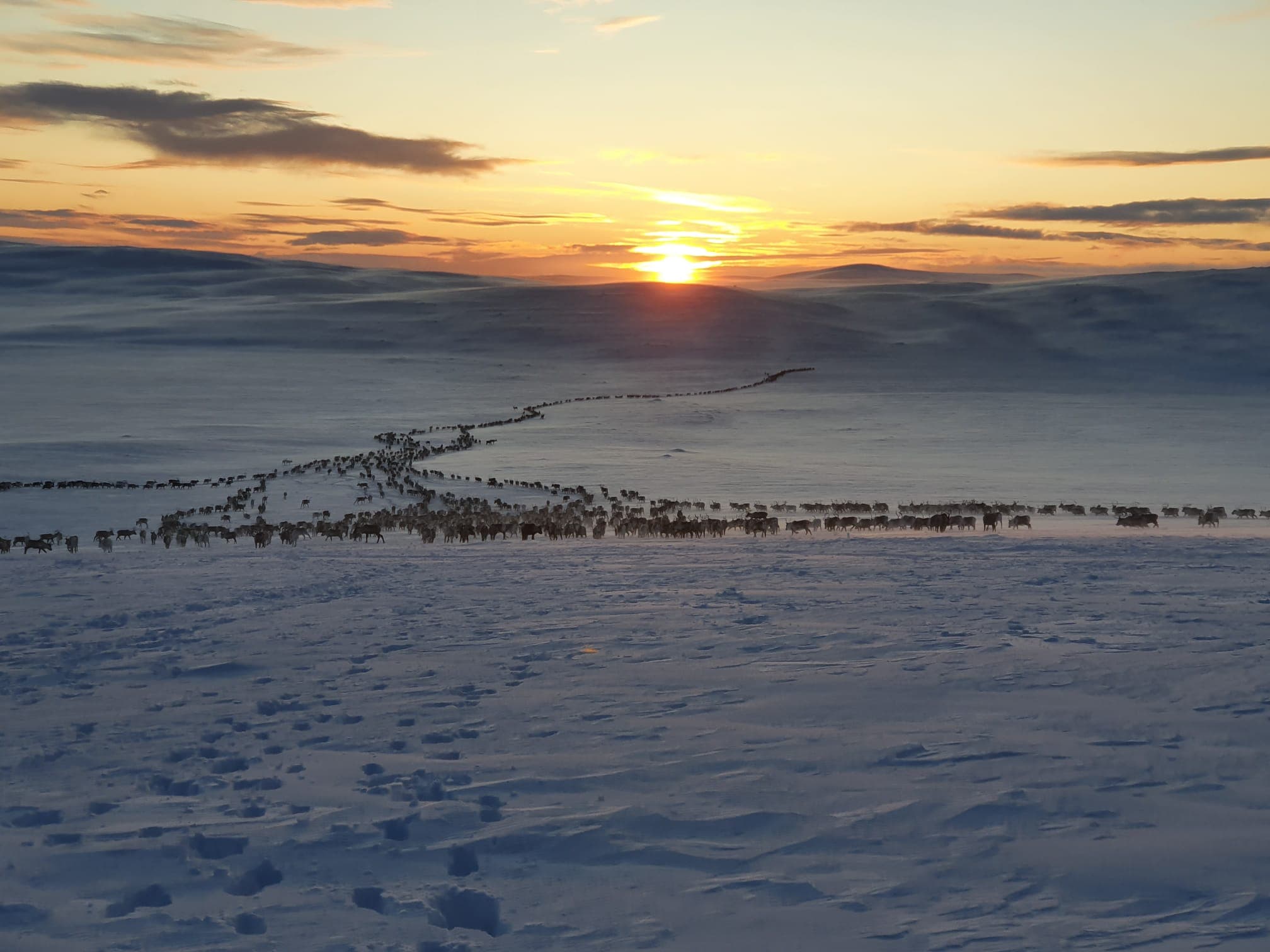 Travel Utsjoki